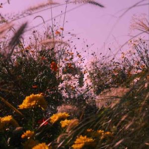 دانلود آهنگ نگاه کن تو چشام مریم عزیز رویاهام مریم